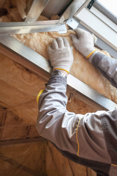 Insulation for Commercial Buildings in Elkton, VA