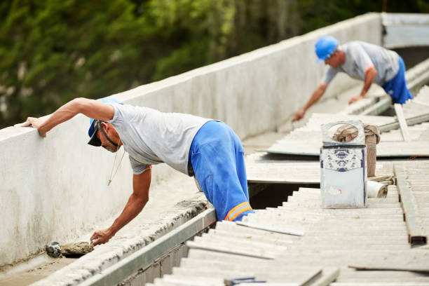 Best Insulation Replacement Services  in Elkton, VA