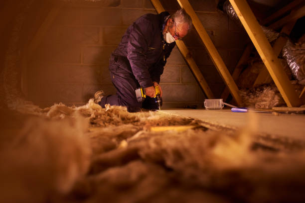 Insulation Inspection Services in Elkton, VA